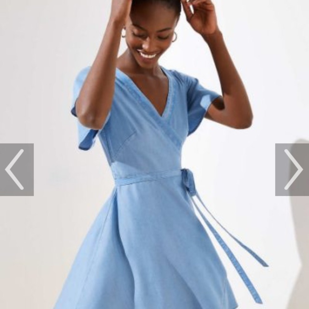 Loft dress